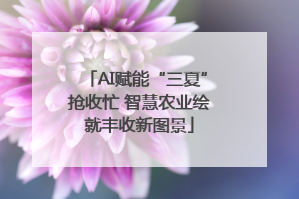 AI赋能“三夏”抢收忙 智慧农业绘就丰收新图景
