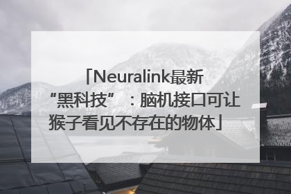 Neuralink最新“黑科技”：脑机接口可让猴子看见不存在的物体