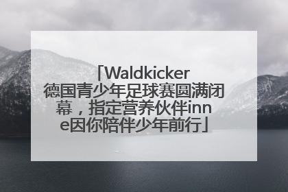 Waldkicker德国青少年足球赛圆满闭幕，指定营养伙伴inne因你陪伴少年前行